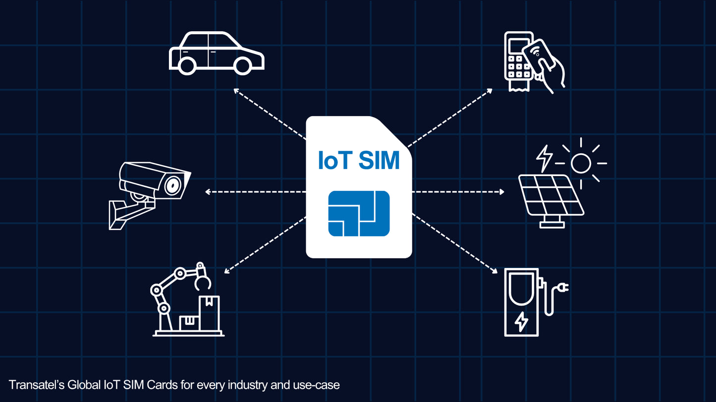 12 Months IOT SIM Card ( Soundbox, MAE, TNG)